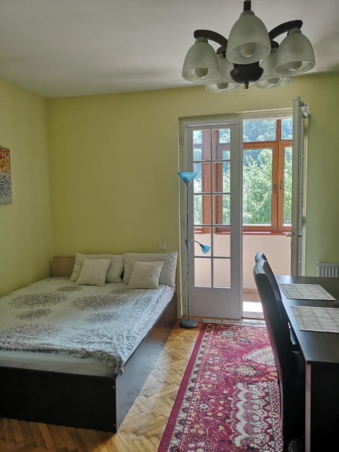 Casa Marius Appartement Braşov Buitenkant foto